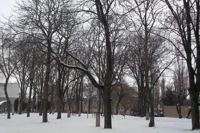 Ilustračný obrázok k článku Vo Vlčanoch to vrie: Proti starostovi sa postavila skupinka poslancov obecného zastupiteľstva