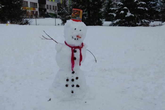 Ilustračný obrázok k článku Novovešťania ukázali, akí sú šikovní: V meste vyrástli utešení snehuliaci, FOTO