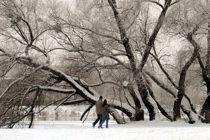 Ilustračný obrázok k článku Prichádza ponuka víkendového vyžitia: Kam môžete vyraziť?