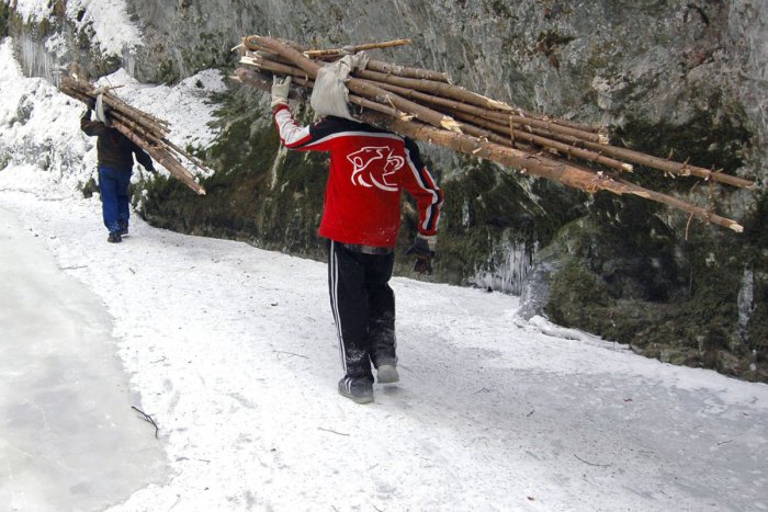 Ilustračný obrázok k článku Muži z Rakús v Kežmarskom okrese si chceli prikúriť: Za krádež dreva im hrozí basa