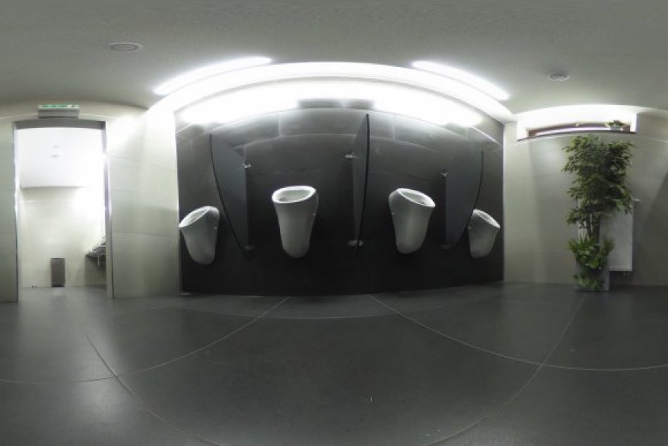 Ilustračný obrázok k článku Mestské toalety na pranieri: Na svete je obsiahla správa o výsledku kontroly
