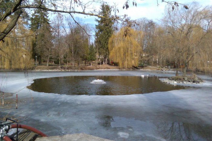 Ilustračný obrázok k článku FOTO: Jazierko v lučeneckom parku nemá dosť vody. Dôvodom je počasie