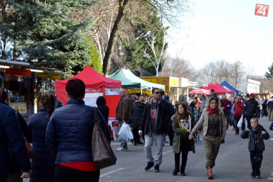 Ilustračný obrázok k článku FOTO: Poľovníctvo, rybárstvo a včelárstvo v Nitre videlo cez 10-tisíc návštevníkov