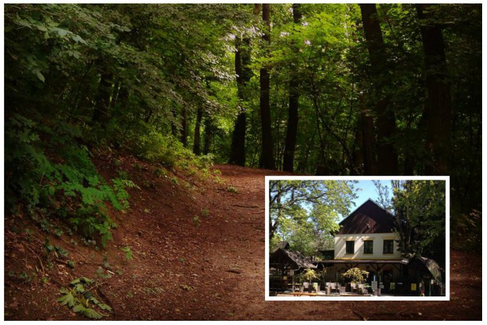 Ilustračný obrázok k článku Príroda v srdci Bratislavy: Horský park ukrýva 130-ročnú horáreň