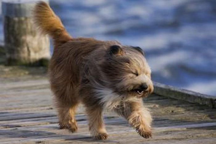 Ilustračný obrázok k článku Vo štvrtok bude v okolí Tatier a na Orave silný vietor