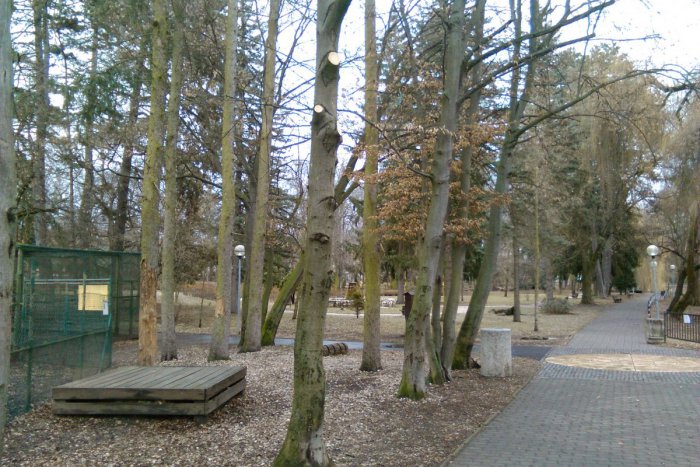 Ilustračný obrázok k článku FOTO: V lučeneckom parku miznú stromy aj konáre. Jarná údržba sa začala
