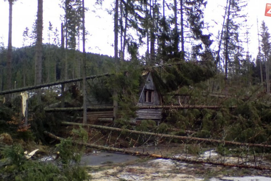 Ilustračný obrázok k článku Po silnom vetre padali stromy aj v národnom parku: Lesníci bilancujú škody