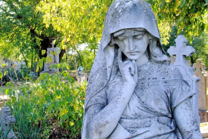 Ilustračný obrázok k článku SVET O SLOVENSKU: Cintoríny sú plné vzácneho života