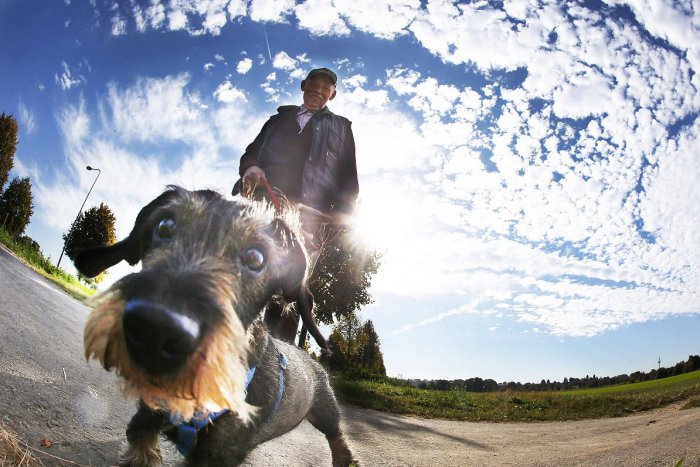 Ilustračný obrázok k článku Nastal čas na plánovanie víkendu: Kam sa môžete vybrať?