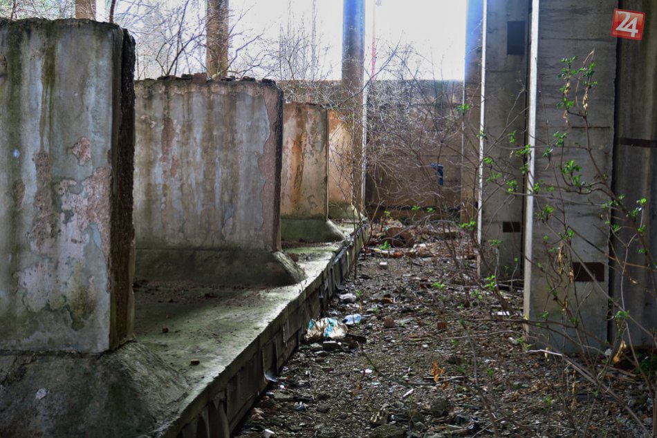 Ilustračný obrázok k článku Na zastupiteľstve prezentovali novú štúdiu na obnovu krytej plavárne: Tú vypracovali študenti z Košíc