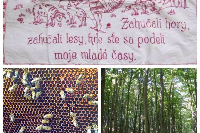 Ilustračný obrázok k článku Spravodajský súhrn z Michaloviec a okolia: Top témy týždňa v jednom balíku