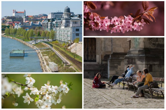 Ilustračný obrázok k článku OBRAZOM: Bratislavské ulice a parky zafarbila jar