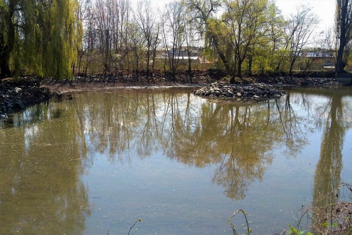 Ilustračný obrázok k článku FOTO: Jazierko v lučeneckom parku sa zmenšuje. Poznáme príčinu rapídneho úbytku vody