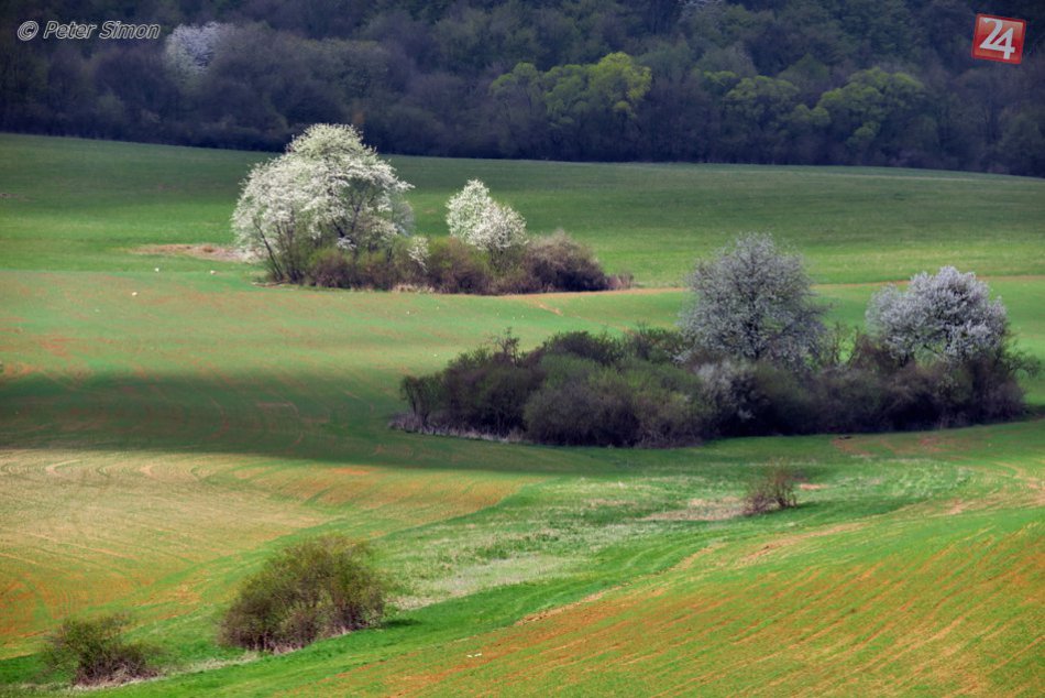 Ilustračný obrázok k článku Poľnohospodári v Košickom kraji výkyvy teplôt nateraz zvládajú: Ako to je v Rožňave?