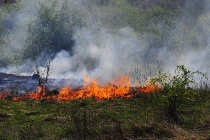 Ilustračný obrázok k článku Dávajte si pozor na oheň: Za vypaľovanie hrozia mastné pokuty