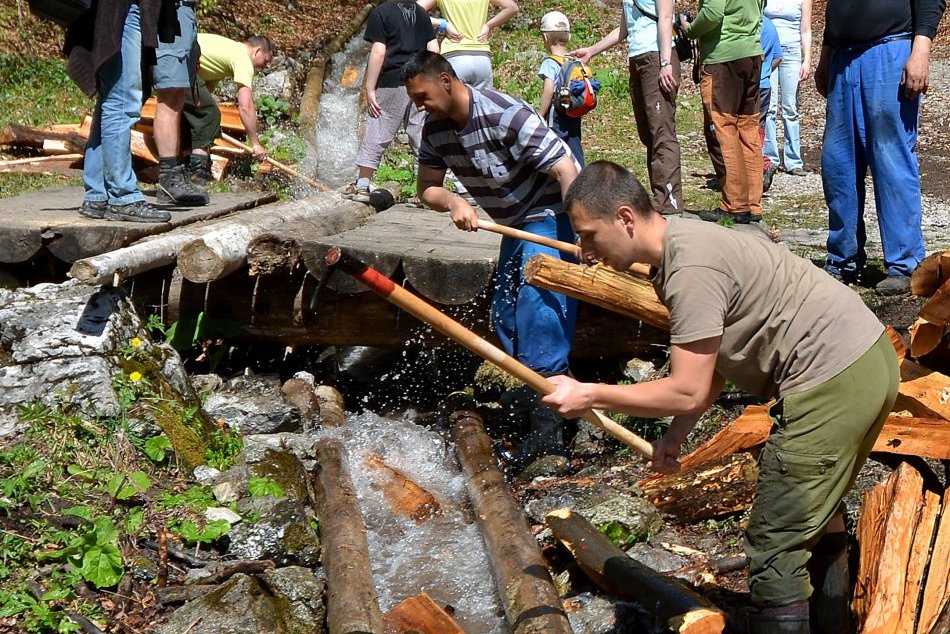 Ilustračný obrázok k článku Európsky UNIKÁT opäť ožije. Vodný žľab predvedú lesníci v jeho celej kráse