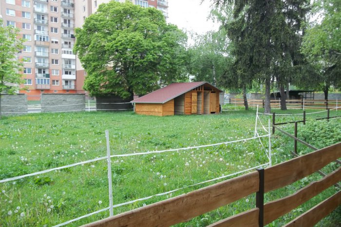 Ilustračný obrázok k článku Babičkin dvor má prvých obyvateľov: V parku to začína žiť