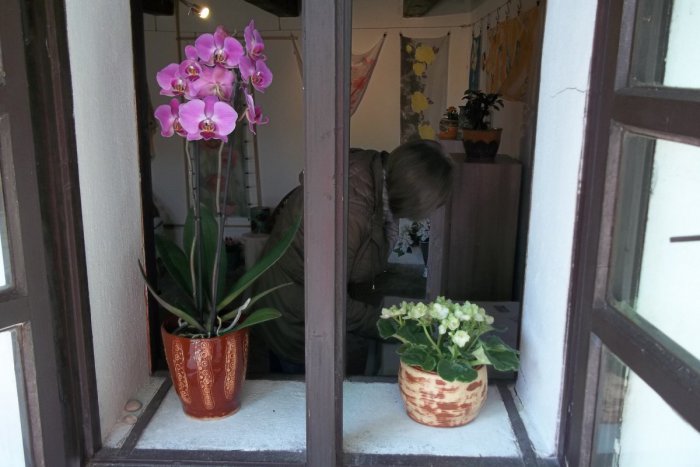 Ilustračný obrázok k článku Ďalšia zaujímavá výstava v Dome ľudového bývania: Miesto pre kvety pohladí dušu