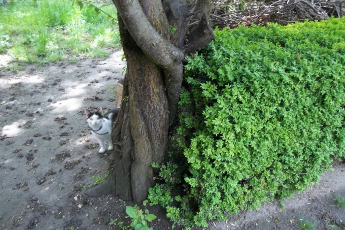 Ilustračný obrázok k článku Májový víkend láka do prírody: Ak zaprší, môžete využiť i našu ponuku