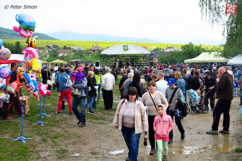 Ilustračný obrázok k článku Ovčiarsky deň v Brzotíne: O zábavu sa postarali aj malé prasiatka, FOTO