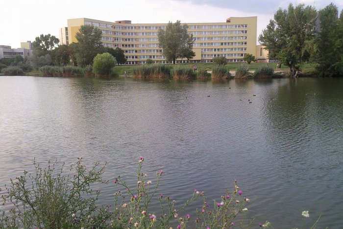 Ilustračný obrázok k článku Ružinov zrevitalizuje jazero Rohlík. Pomôže im aj Bratislavský kraj
