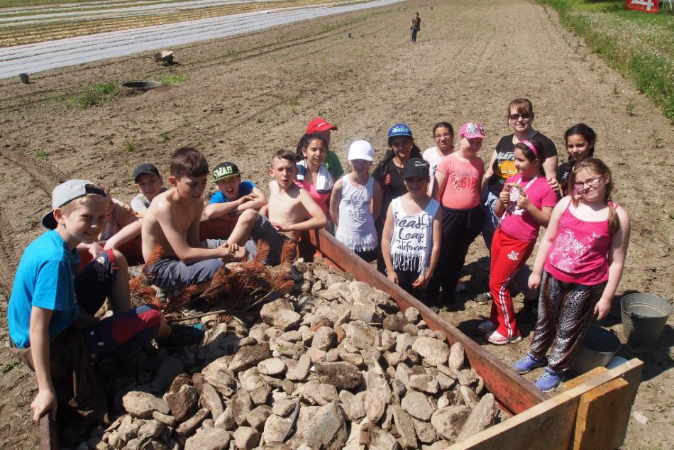 Ilustračný obrázok k článku Ruku k dielu pridali aj najmenší: Pustili sa do čistenia dobšinského chotára, FOTO