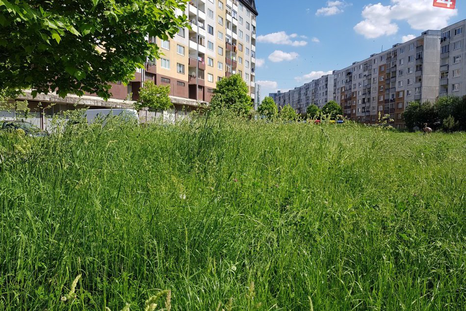 Ilustračný obrázok k článku Považská Bystrica zarastená trávou: Pozrite si na FOTKÁCH, ako to u nás vyzerá