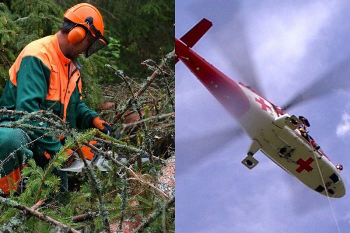 Ilustračný obrázok k článku Pri nehode v okrese museli zasahovať záchranári: Pilčíka privalil kmeň stromu
