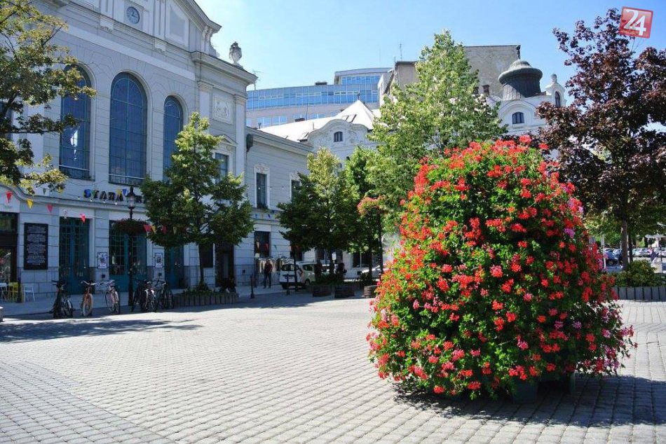 Ilustračný obrázok k článku Bratislavské ulice rozkvitli: Mesto inštaluje kvetinovú výzdobu