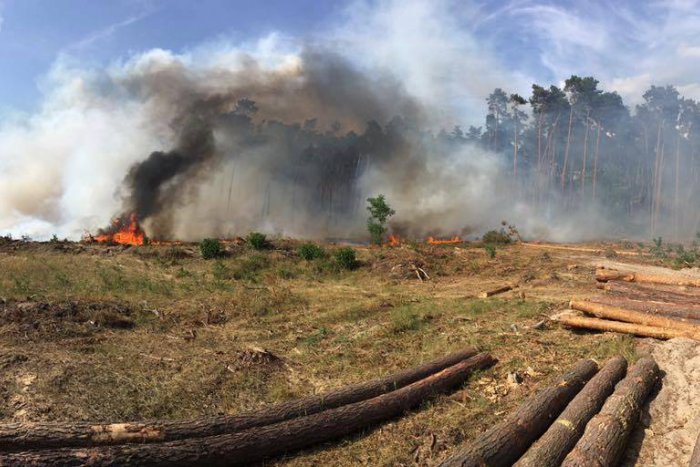 Ilustračný obrázok k článku Stovka požiarnikov v akcii. Na Záhorí horia desiatky hektárov lesa