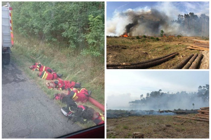 Ilustračný obrázok k článku FOTO: Ničivý požiar na Záhorí zasiahol viac ako 77 hektárov lesa. Hasiči s ohňom bojovali 28 hodín