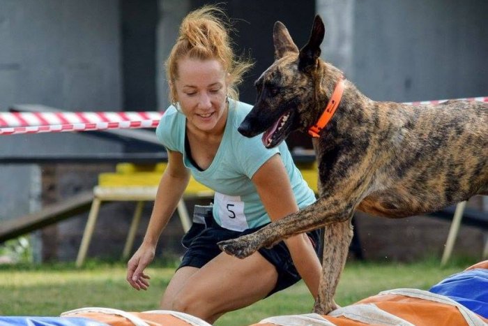 Ilustračný obrázok k článku Šikovné bratislavské psíky sa stretnú na 2. ročníku Dog Spartan Race