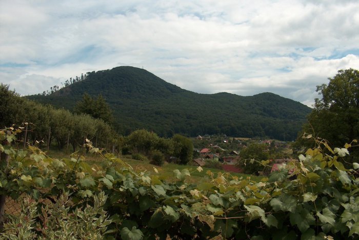 Ilustračný obrázok k článku Tip na výlet do prírody ako lusk: V Kanaši pri Prešove nájdete oázu lesov