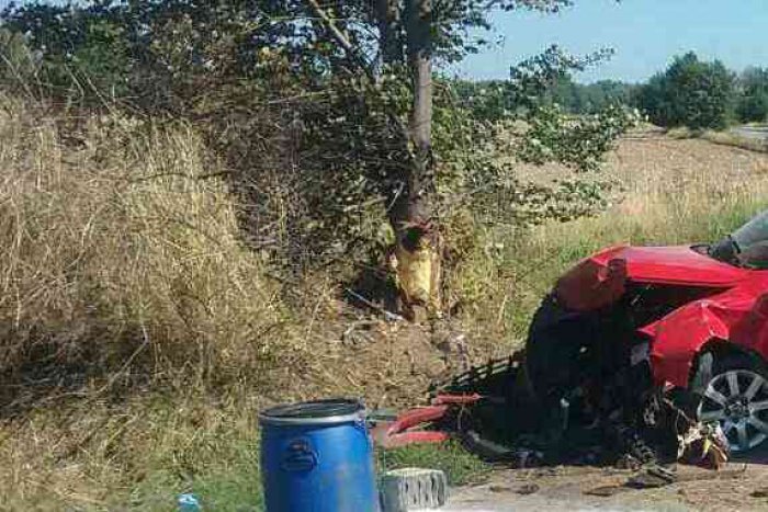 Ilustračný obrázok k článku Dopravná nehoda pri Hlohovci: Auto narazilo do stromu, FOTO priamo z miesta