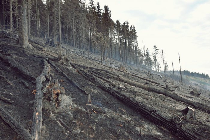Ilustračný obrázok k článku Lesný požiar sa podarilo lokalizovať: FOTO a VIDEO priamo z požiaroviska!