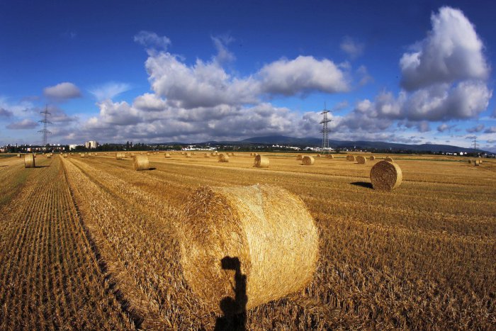 Ilustračný obrázok k článku Agrorezort chce pomôcť začínajúcim a malým farmárom: Pripravil päť miliónov eur