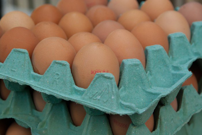 Ilustračný obrázok k článku Lidl sťahuje zo svojich predajní nakazené vajíčka. Radšej ich nejedzte!