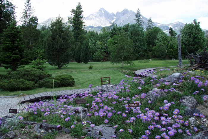Ilustračný obrázok k článku Darček pre milovníkov kvetín: Botanická záhrada bude otvorená dlhšie