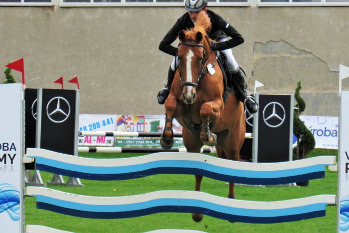 Ilustračný obrázok k článku Nádherné kone, skvelé výkony: V Prešove sme sledovali parkúrové preteky, FOTO