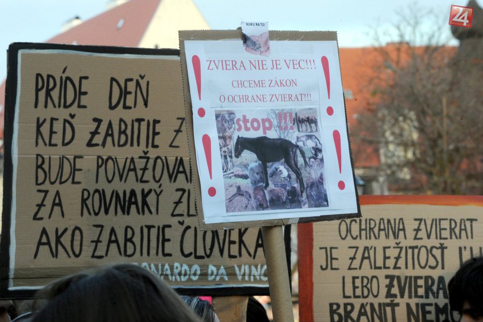 Ilustračný obrázok k článku Zviera už nemá byť na Slovensku vecou, agrorezort navrhuje zmenu zákona