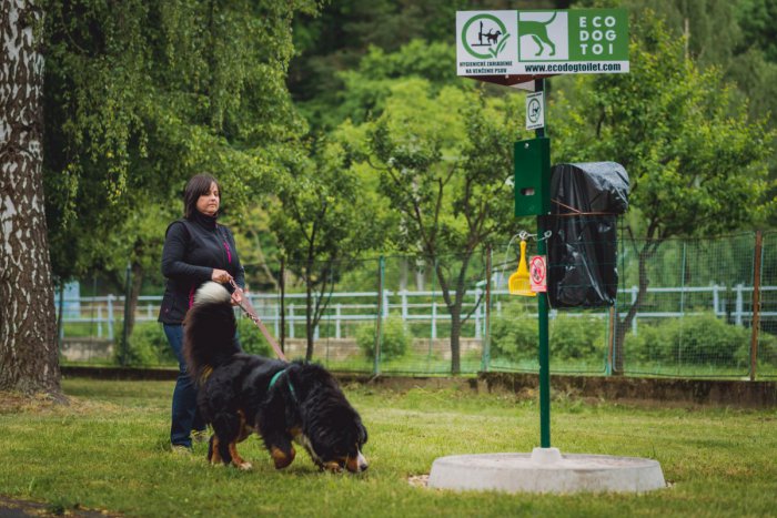Ilustračný obrázok k článku Vo Vrakunskom lesoparku osadili ekologické psie toalety