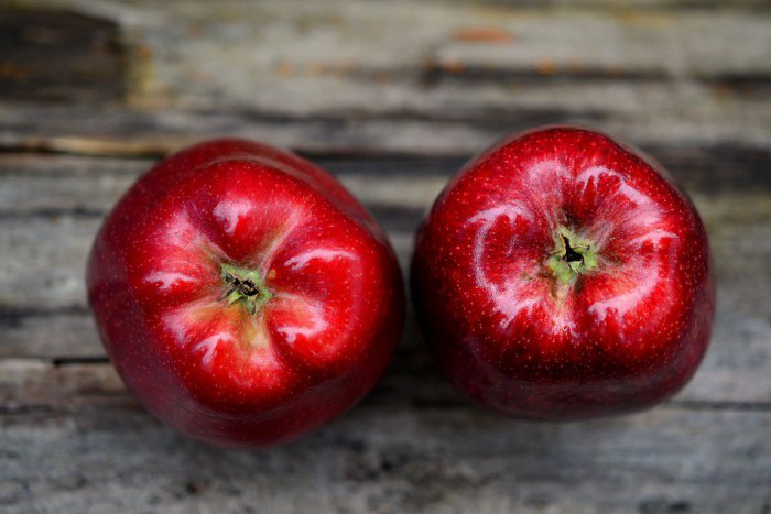 Ilustračný obrázok k článku Samozber jabĺk: Natrhajte si vlastnoručne šťavnaté ovocie na zimu