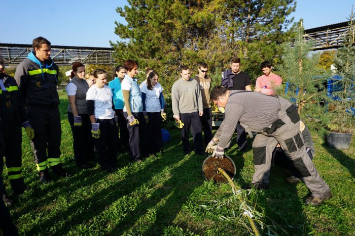 Ilustračný obrázok k článku Okolie rafinérie Slovnaft je zelenšie. Dobrovoľníci vysadili 21 nových stromov