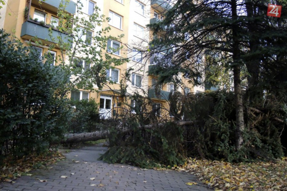 Ilustračný obrázok k článku Vyčíňanie počasia v Žiari: Zo stojiska na sídlisku vietor odtrhol strechu