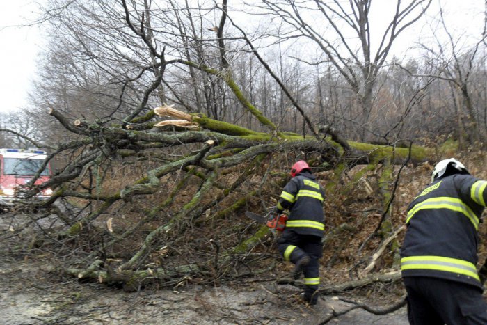 Ilustračný obrázok k článku Búrlivé počasie v okrese Trenčín si vyžiadalo zásahy hasičov: Spadnutý strom nie je všetko