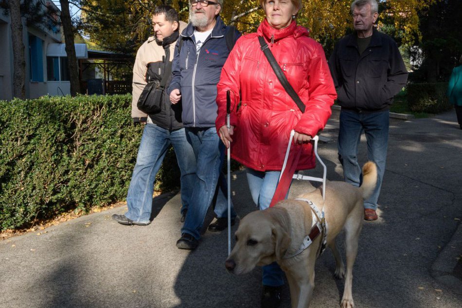 Ilustračný obrázok k článku Veľká pomoc pre nevidiacich a slabozrakých: S prevodom dokumentov pomôže nová služba