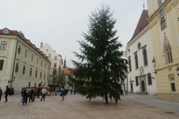 Ilustračný obrázok k článku Na Hlavnom námestí už stojí stromček. Zatiaľ bez ozdôb a osvetlenia