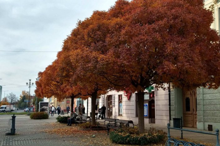 Ilustračný obrázok k článku KVÍZ: Sledujete dianie v Spišskej? Predveďte svoje znalosti tu a teraz