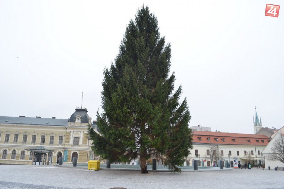 Ilustračný obrázok k článku FOTO: Vianočný stromček už zdobí nitrianske námestie