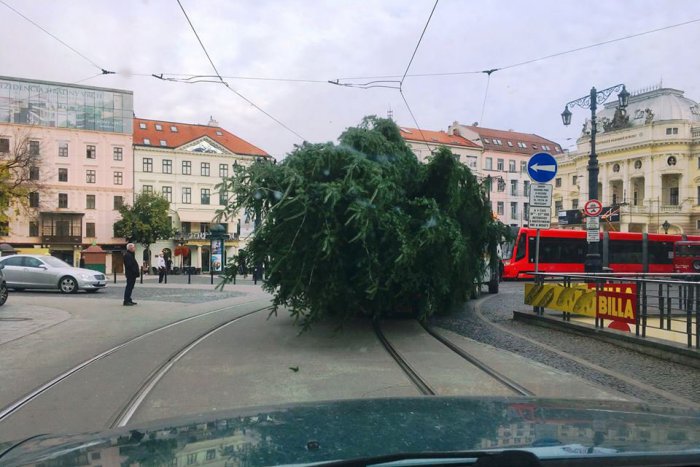 Ilustračný obrázok k článku FOTO: Poznáte príbeh vianočného stromčeka na Hlavnom námestí?
